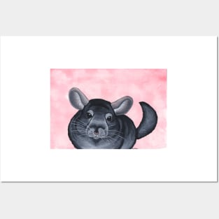 Chinchilla Posters and Art